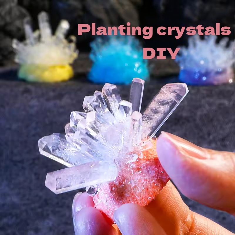 Plant Parent Or Plants - Crystal planting DIY scientific experiment set,