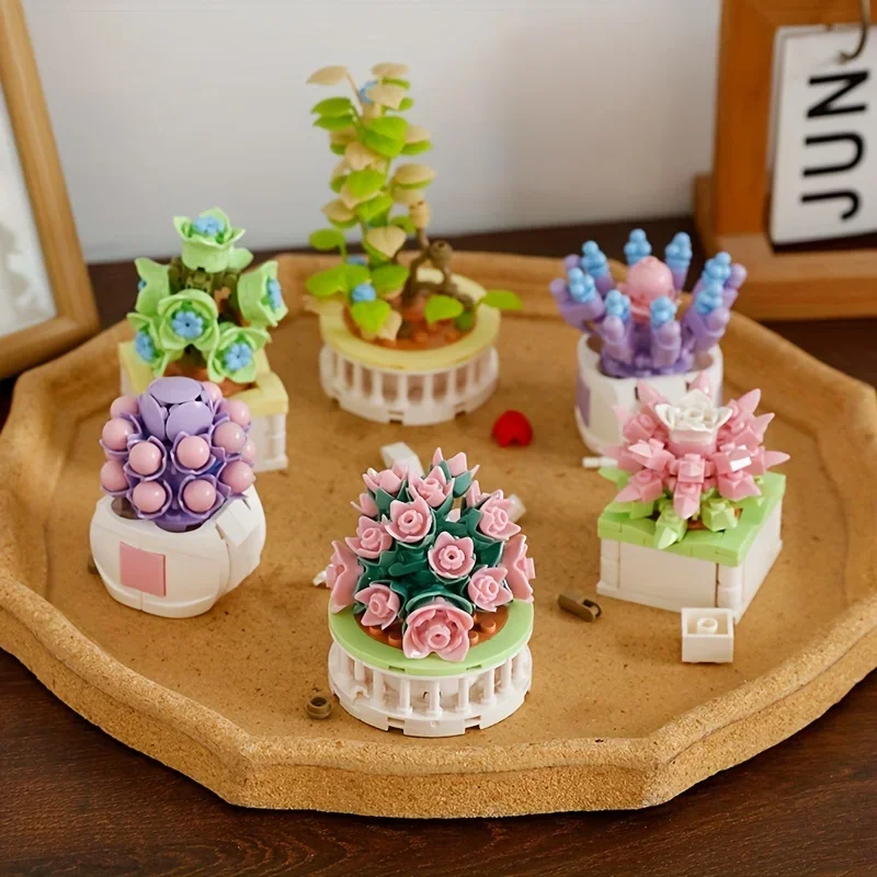Cactus Mix Pot - Block City DIY Potted Plants Succulents