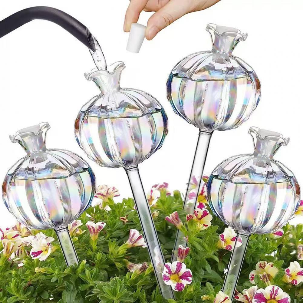 Cactus Mix Pot - 24cm Cactus Self Watering Bulbs Planter
