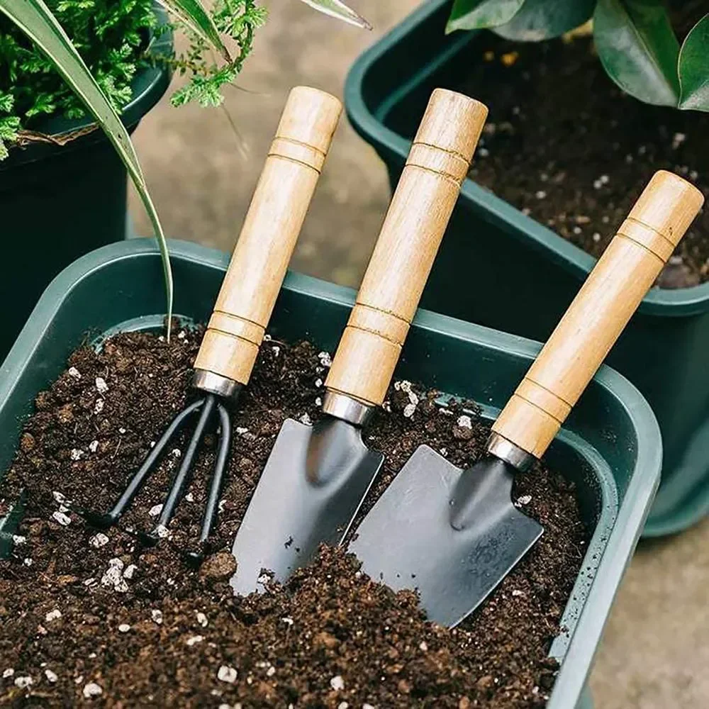 Cactus Mix Pot - 3Pcs/Set Mini Garden Tool Set For