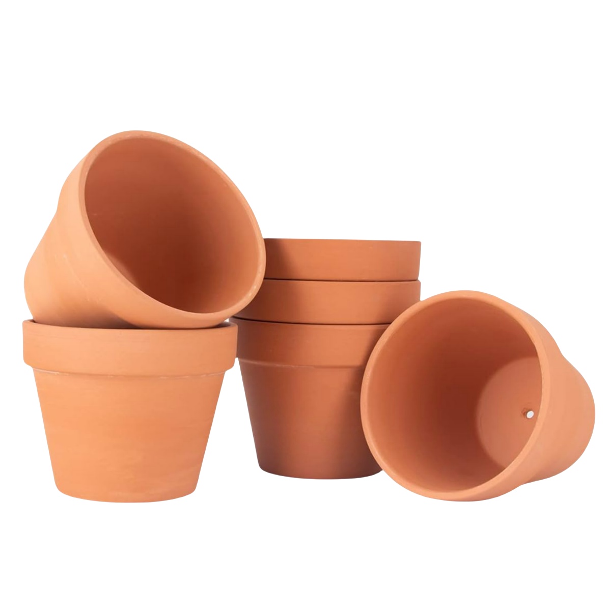 6pcs 4 inch Terracotta Pots Fl - đánh giá và giá Cactus Mix Pot