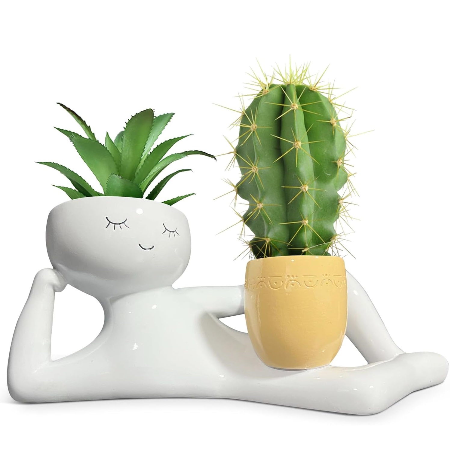 Lazy Little Guy Planter Unique - đánh giá và giá Cactus Mix Pot