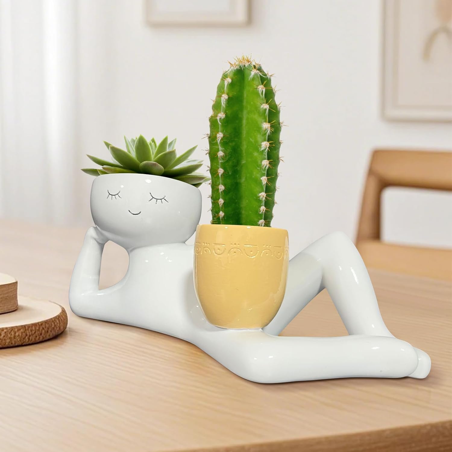 Lazy Little Guy Planter Unique - đánh giá và giá Cactus Mix Pot
