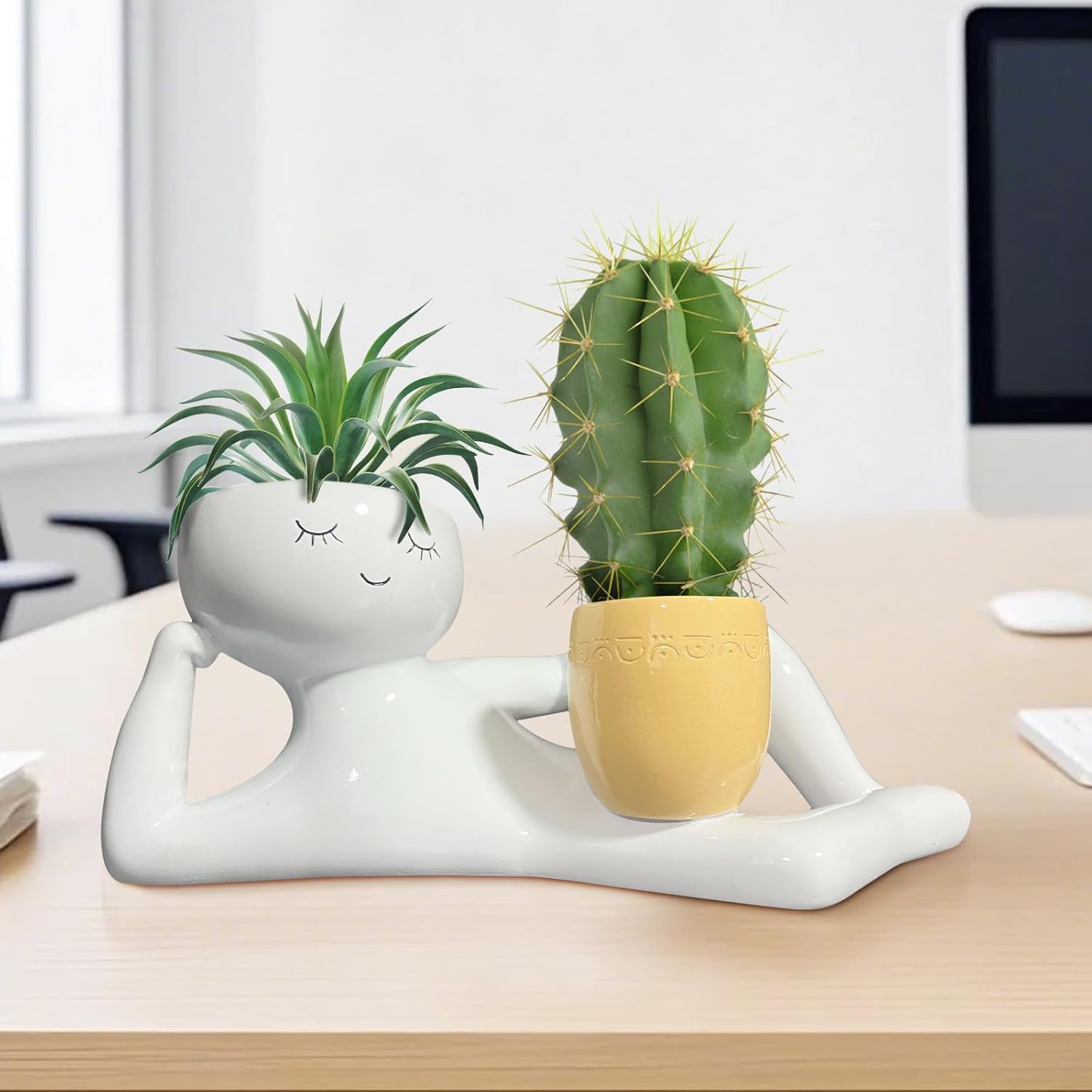 Lazy Little Guy Planter Unique - đánh giá và giá Cactus Mix Pot