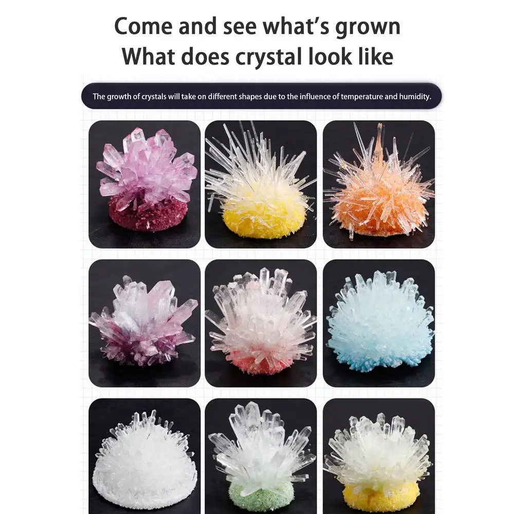 Crystal planting DIY scientifi - đánh giá và giá Plant Parent Or Plants