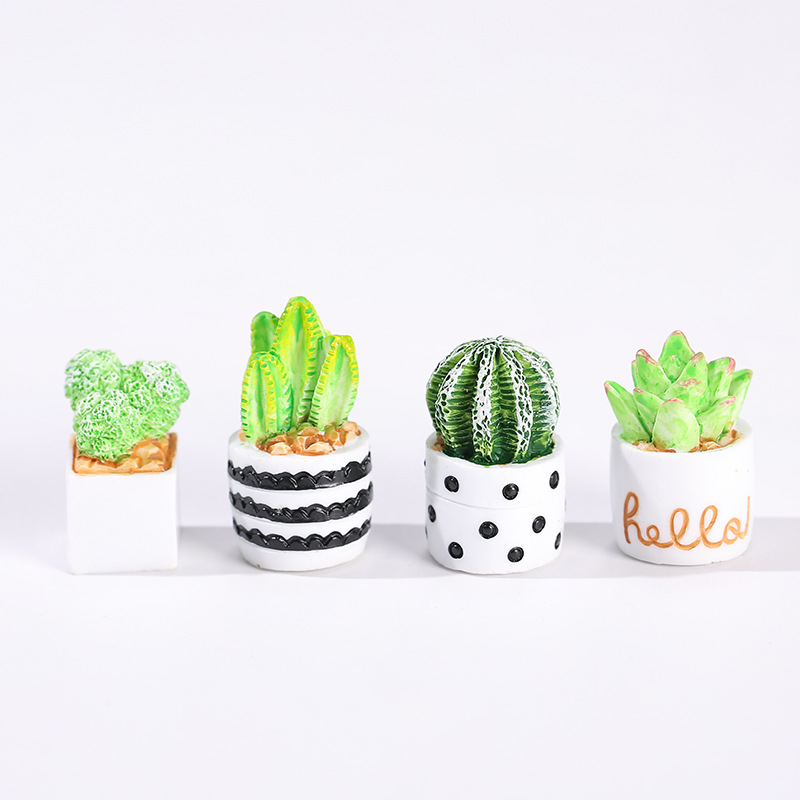 4pcs/Set Of Mini Succulent Pot - đánh giá và giá Cactus Mix Pot