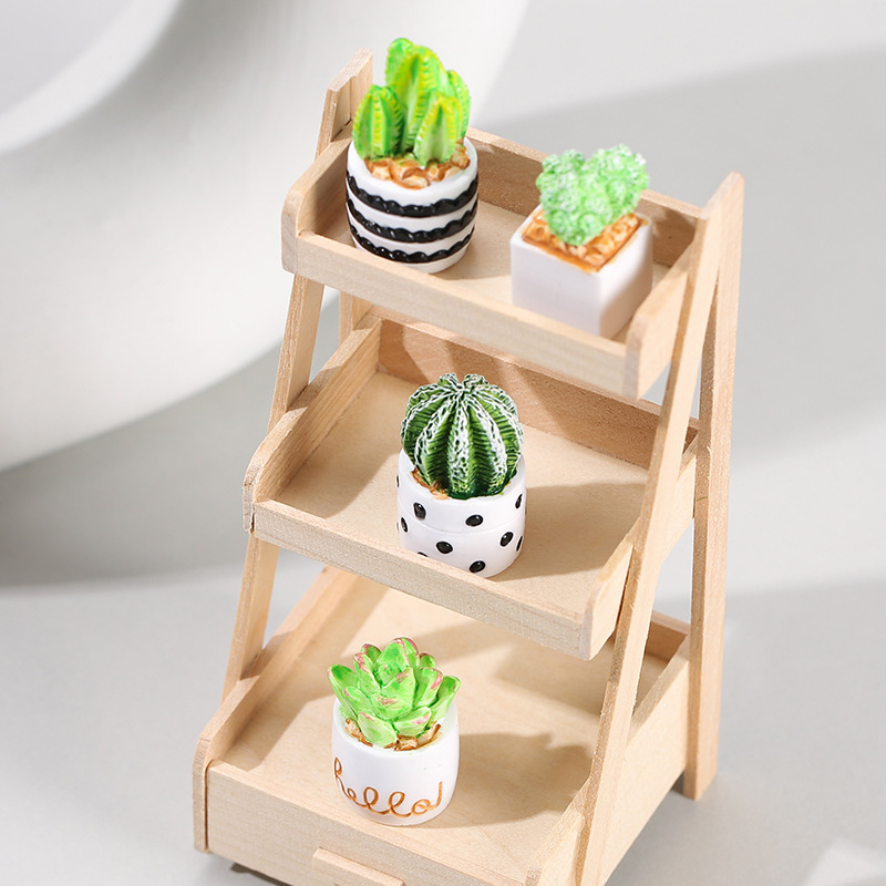 4pcs/Set Of Mini Succulent Pot - đánh giá và giá Cactus Mix Pot