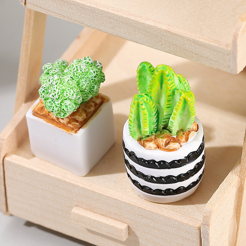 4pcs/Set Of Mini Succulent Pot - đánh giá và giá Cactus Mix Pot