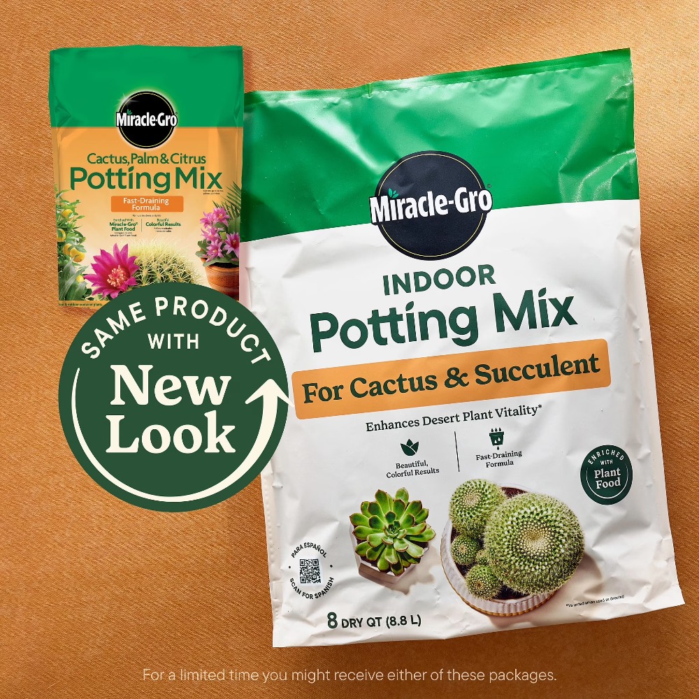 2 Pack 8 Quart Fast‑Draining C - đánh giá và giá Cactus Mix Pot