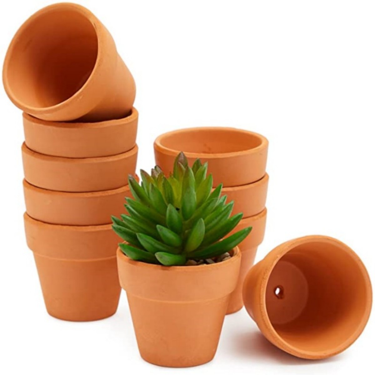 16 Pcs 1.8'' Terra Cotta Pots  - đánh giá và giá Cactus Mix Pot