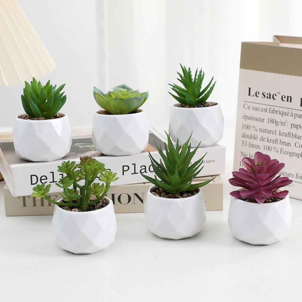 Simulation Evergreen Artificia - đánh giá và giá Cactus Mix Pot