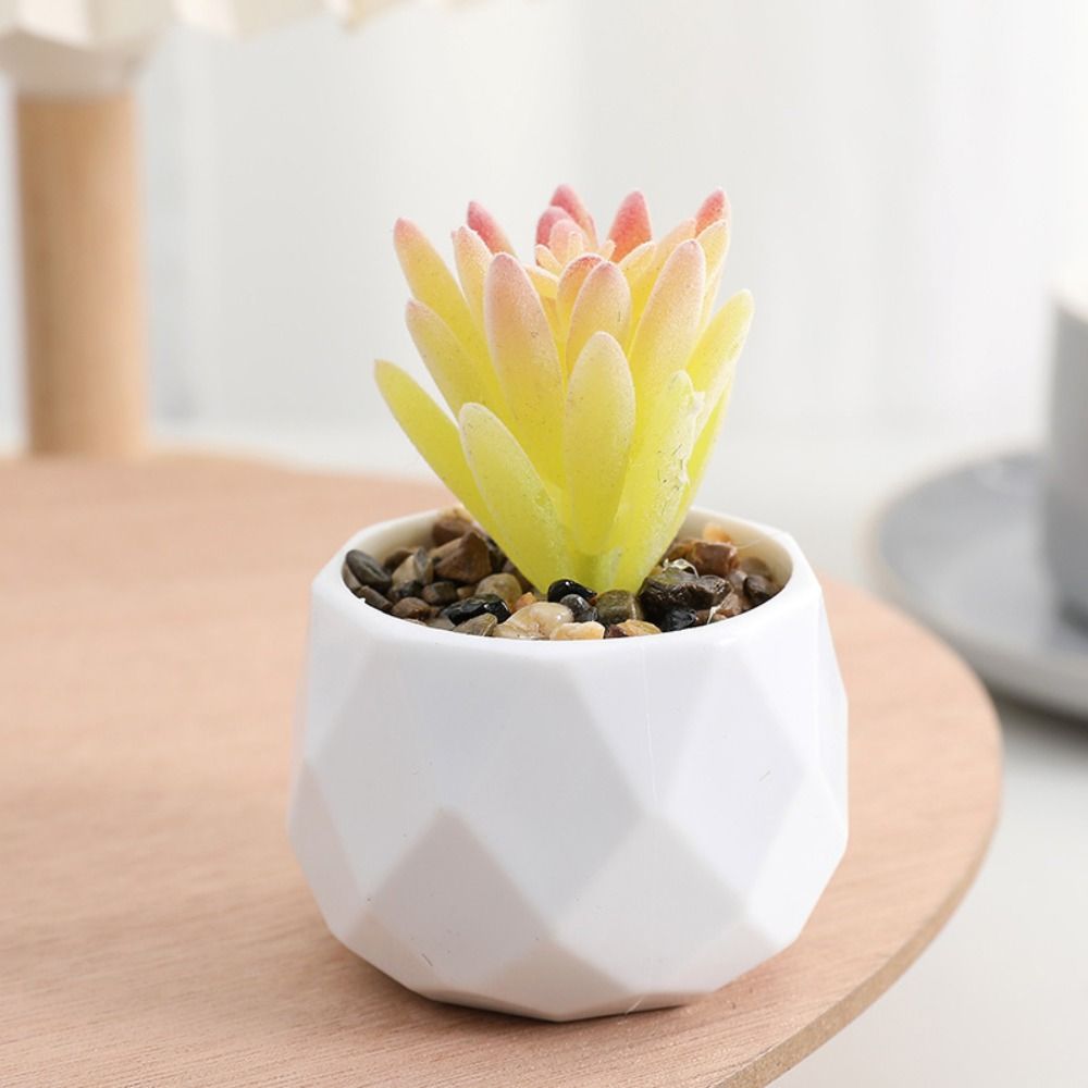 Simulation Evergreen Artificia - đánh giá và giá Cactus Mix Pot