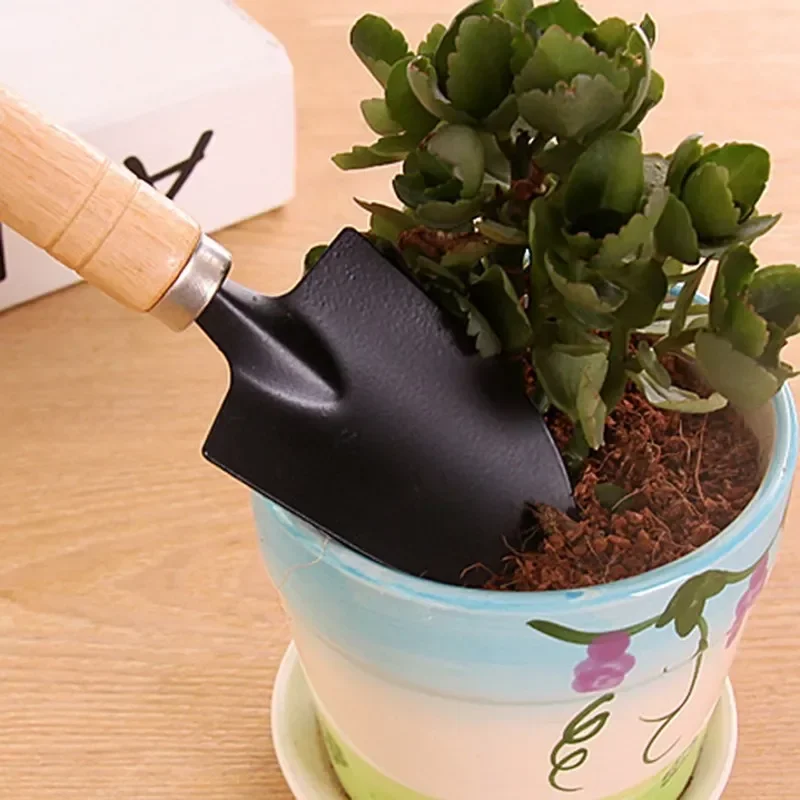 3Pcs/Set Mini Garden Tool Set  - đánh giá và giá Cactus Mix Pot