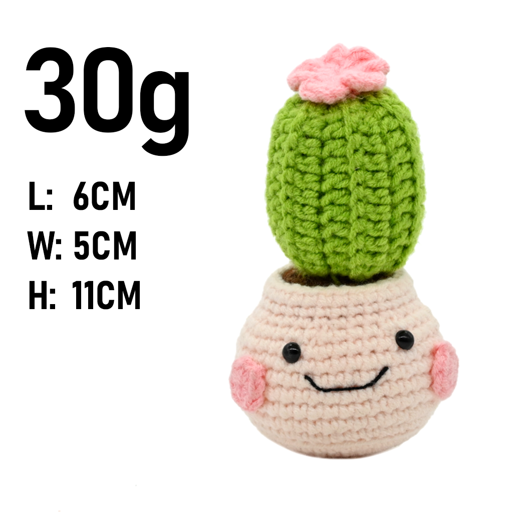 PlantSeries Positive Energy Cr - đánh giá và giá Cactus Mix Pot