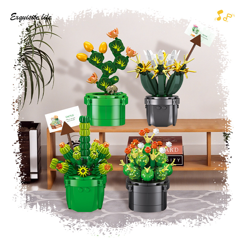 JIE-STAR JJ9175 Cactus Succule - đánh giá và giá Cactus Mix Pot