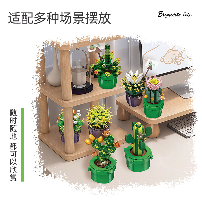 JIE-STAR JJ9175 Cactus Succule - đánh giá và giá Cactus Mix Pot